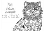 Cahier De Coloriage Adulte Pas Cher Mandala De Chat De Zentangle La Page De Livre De Coloriage Pour Des