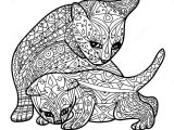 Cahier De Coloriage Adulte Pas Cher Mandala De Chat De Zentangle La Page De Livre De Coloriage Pour Des