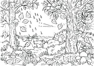 Cahier De Coloriage Adulte Paysage 59 Dessins De Coloriage Automne A Imprimer Sur Laguerche Page 4