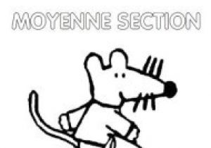 Cahier De Coloriage Moyenne Section Page De Garde Maternelle