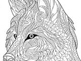 Carnet De Coloriage Pour Adulte Livre De Coloriage Pour Adultes Loups 1 Volume 1 Amazon