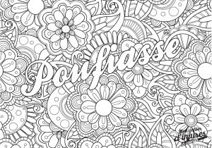 Carnet De Coloriage Pour Adulte Mon Cahier D Injures   Colorier Premier Livre De Coloriage Pour