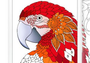 Chamy Livre De Coloriage Télécharger Chamy Livre De Coloriage Numéroté Sur Pc Memu