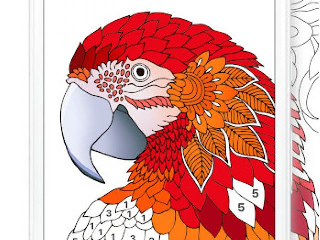 Chamy Livre De Coloriage Télécharger Chamy Livre De Coloriage Numéroté