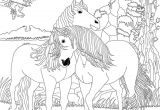 Coloriag De Cheval 53 Best Coloriage Images On Pinterest