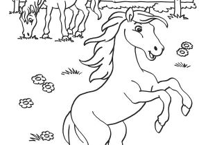 Coloriag De Cheval 58 Best Coloriage Chevaux Images On Pinterest