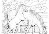 Coloriag De Cheval 58 Best Coloriage Chevaux Images On Pinterest
