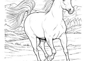 Coloriag De Cheval 58 Best Coloriage Chevaux Images On Pinterest