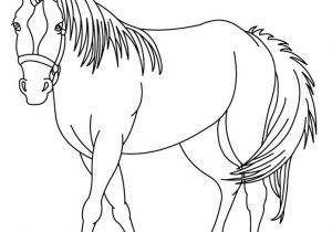 Coloriag De Cheval Coloriage Cheval En Ligne 696900 Ren