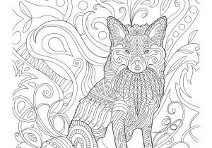 Coloriage 1er Age 457 Best Coloriage Vie Sauvage Images On Pinterest