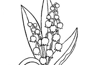 Coloriage 1er De L An Dessin Muguet Clochette Premier Mai