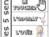 Coloriage 5 Sens Maternelle 229 Meilleures Images Du Tableau La Maternelle En 2019