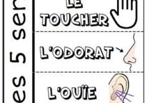 Coloriage 5 Sens Maternelle 229 Meilleures Images Du Tableau La Maternelle En 2019