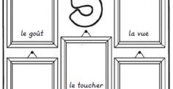 Coloriage 5 Sens Maternelle 229 Meilleures Images Du Tableau La Maternelle En 2019