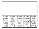 Coloriage 5 Sens Maternelle 5 Sens