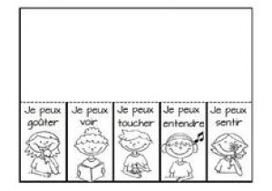 Coloriage 5 Sens Maternelle 5 Sens