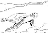 Coloriage A Colorier Sur La Tablette 68 Best Coloriages Animaux Marins Images On Pinterest