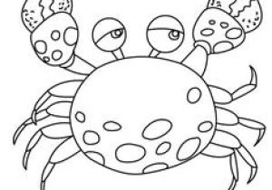 Coloriage à Faire Sur L ordinateur 68 Meilleures Images Du Tableau Coloriages Animaux Marins