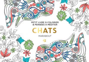 Coloriage à Gratter Marabout Coloriage Adulte Marabout