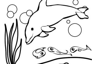 Coloriage à Imprimer 3 Ans De Coloriage Dauphin Les Beaux Dessins De Animaux Coloriage