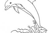 Coloriage à Imprimer Animaux Dauphin 68 Best Coloriages Animaux Marins Images On Pinterest