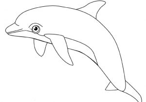 Coloriage à Imprimer Animaux Dauphin Coloriage Dauphins Page 2
