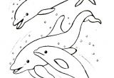 Coloriage à Imprimer Animaux Dauphin Coloriages   Colorier Les Baleines