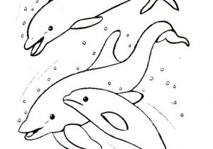 Coloriage à Imprimer Animaux Dauphin Coloriages   Colorier Les Baleines