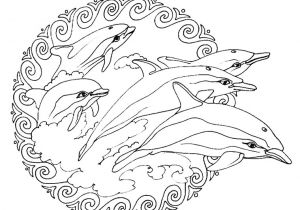 Coloriage à Imprimer Animaux Dauphin Dessin De Mandala A Imprimer Maison Design Apsip