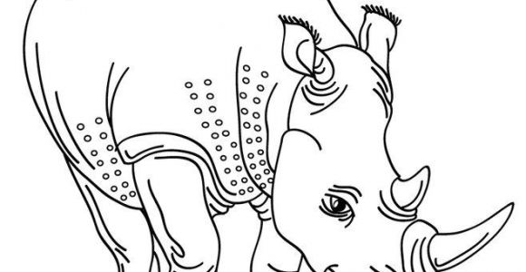 Coloriage à Imprimer Animaux Sauvages 84 Best Coloriages Animaux Sauvages Images On Pinterest