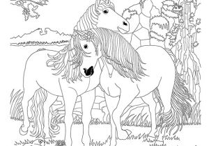 Coloriage A Imprimer Bella Sara Gratuit Coloriage Bella Sara Chevaux