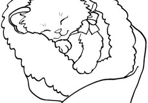 Coloriage A Imprimer Chat Dessin