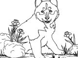 Coloriage A Imprimer Chien Gratuit 20 Dessins De Coloriage Chien à Imprimer Gratuit à Imprimer