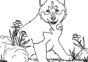 Coloriage A Imprimer Chien Gratuit 20 Dessins De Coloriage Chien à Imprimer Gratuit à Imprimer
