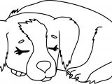 Coloriage à Imprimer Chiot Et Chaton Beau Dessin   Imprimer Chat Et Chien – Mademoiselleosaki