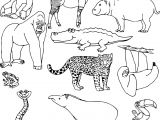 Coloriage A Imprimer D Animaux Sauvages Animaux Sauvages D Afrique Dessin Luxe Coloriage Animaux
