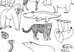 Coloriage A Imprimer D Animaux Sauvages Animaux Sauvages D Afrique Dessin Luxe Coloriage Animaux
