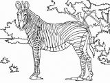 Coloriage A Imprimer D Animaux Sauvages Animaux Sauvages De La Jungle 111 Animaux