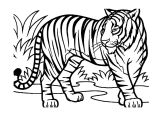 Coloriage A Imprimer D Animaux Sauvages Animaux Sauvages De La Jungle 29 Animaux – Coloriages