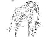 Coloriage A Imprimer D Animaux Sauvages Animaux Sauvages De La Jungle 46 Animaux – Coloriages