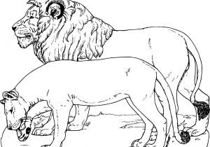 Coloriage A Imprimer D Animaux Sauvages Coloriage Animaux Sauvages A Imprimer Gratuit