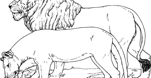 Coloriage A Imprimer D Animaux Sauvages Coloriage Animaux Sauvages A Imprimer Gratuit