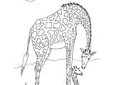 Coloriage A Imprimer D Animaux Sauvages Coloriage Animaux Sauvages D Afrique