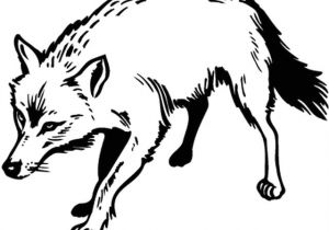 Coloriage A Imprimer D Animaux Sauvages Coloriages Animaux Animaux Sauvages