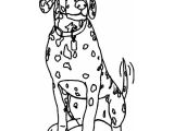 Coloriage A Imprimer Dalmatien Coloriage Chien Dalmatien Dessin