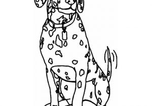 Coloriage A Imprimer Dalmatien Coloriage Chien Dalmatien Dessin