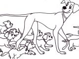 Coloriage A Imprimer Dalmatien Dalmatien Coloriage Az Coloriage