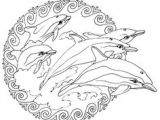 Coloriage A Imprimer Dauphin Les 251 Meilleures Images De Dauphin Brico