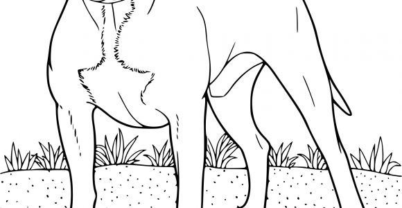 Coloriage A Imprimer De Chien 10 Coloriage De Chien Boxer A Imprimer