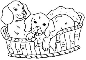 Coloriage A Imprimer De Chien Coloriage204 Coloriage à Imprimer De Chien